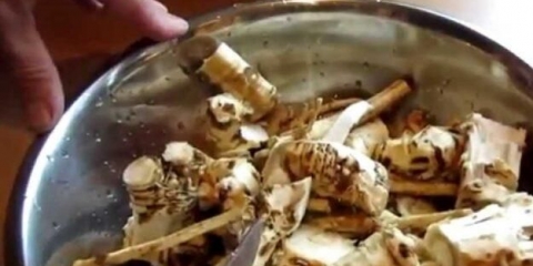 Kako očistiti hren kod kuće